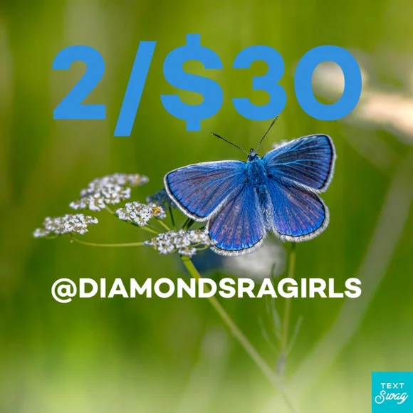 🦋2/$15 Safety LED Light & Reflective Dog Collar Black Gray Medium NWT - Picture 10 of 17